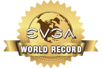 World Record