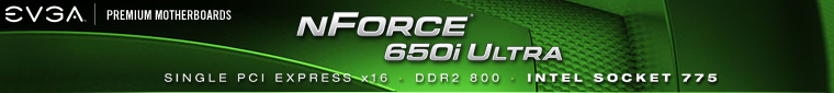 EVGA nForce 650i Ultra Motherboard
