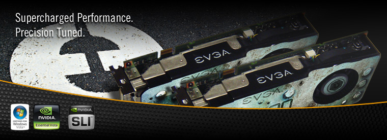 The EVGA 8800 GTS BUILT TO GAME!