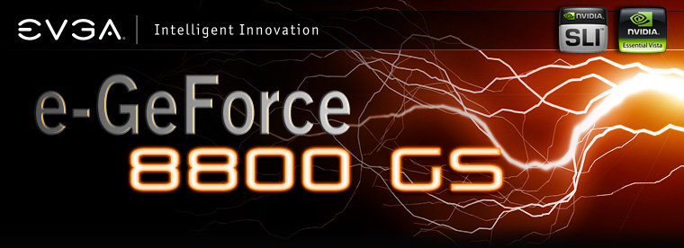 EVGA e Geforce 8800 GS e Geforce 8800 GS