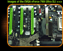 BIOS CHIP EVGA 132-CK-NF79-TR nForce 790i SLI ULTRA