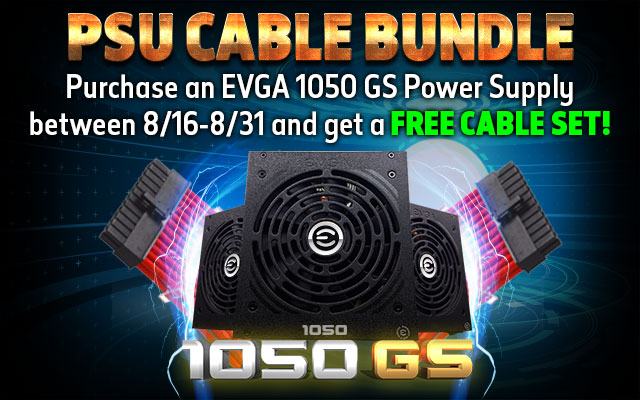 Free PSU Cable Set with 1050 GS
