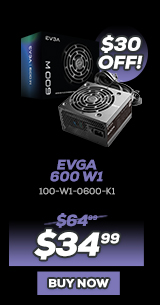 EVGA 600 W1, 80+ WHITE 600W